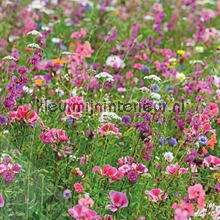 Flowers in the field behang ML234 Wallpaper Queen Behang Expresse